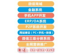 广州最具实力定制软件开发公司 ERP OA系统