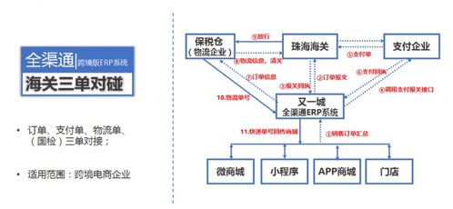 跨境进口为什么需要erp系统